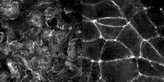 [object Object] thumbnail